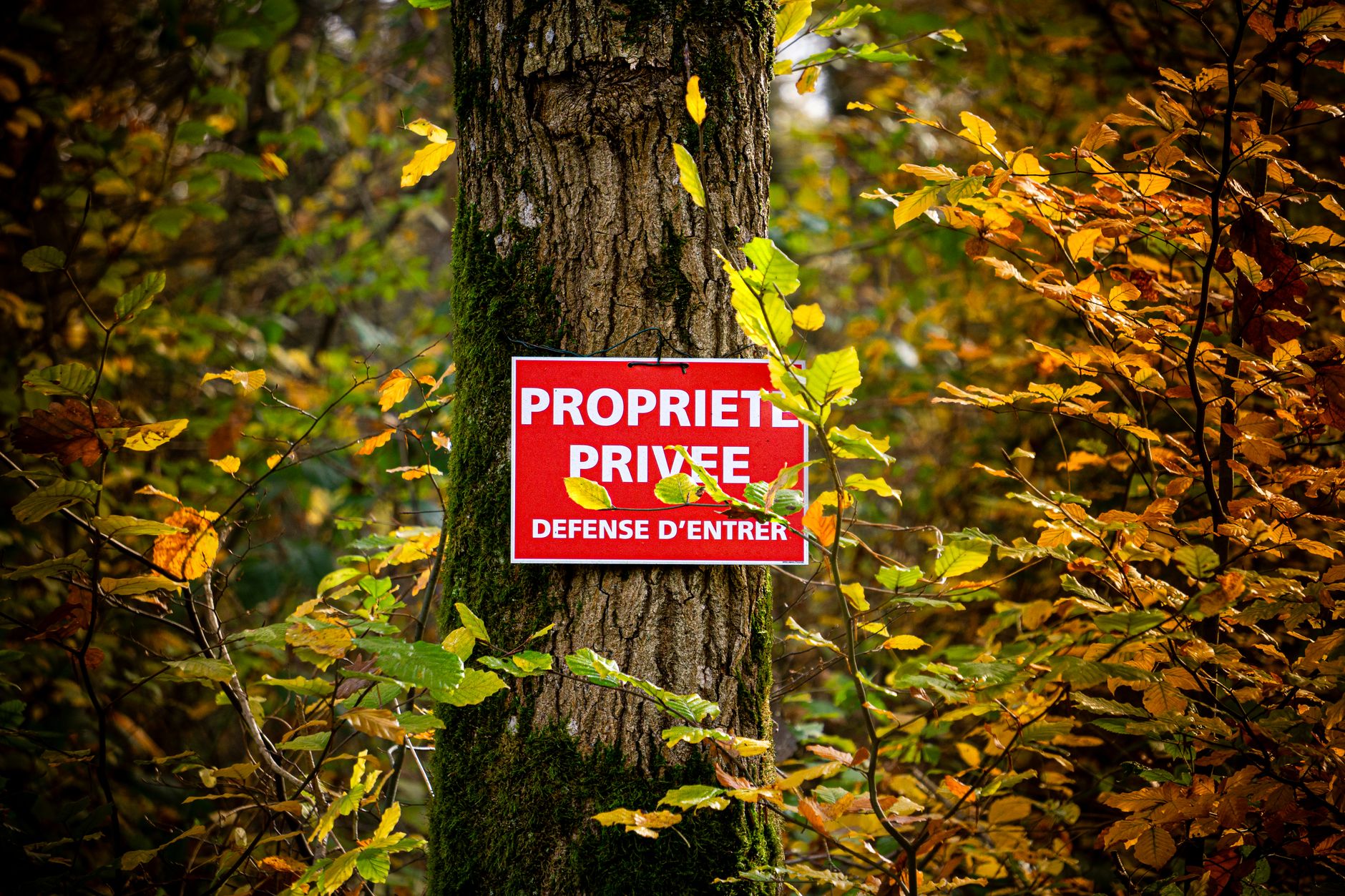 Détective privé à Saint-Louis
